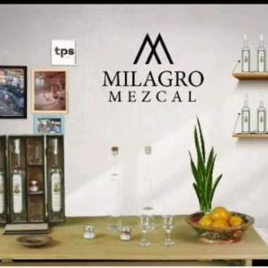 Mezcal El Huehue 375ml – Pitzometl